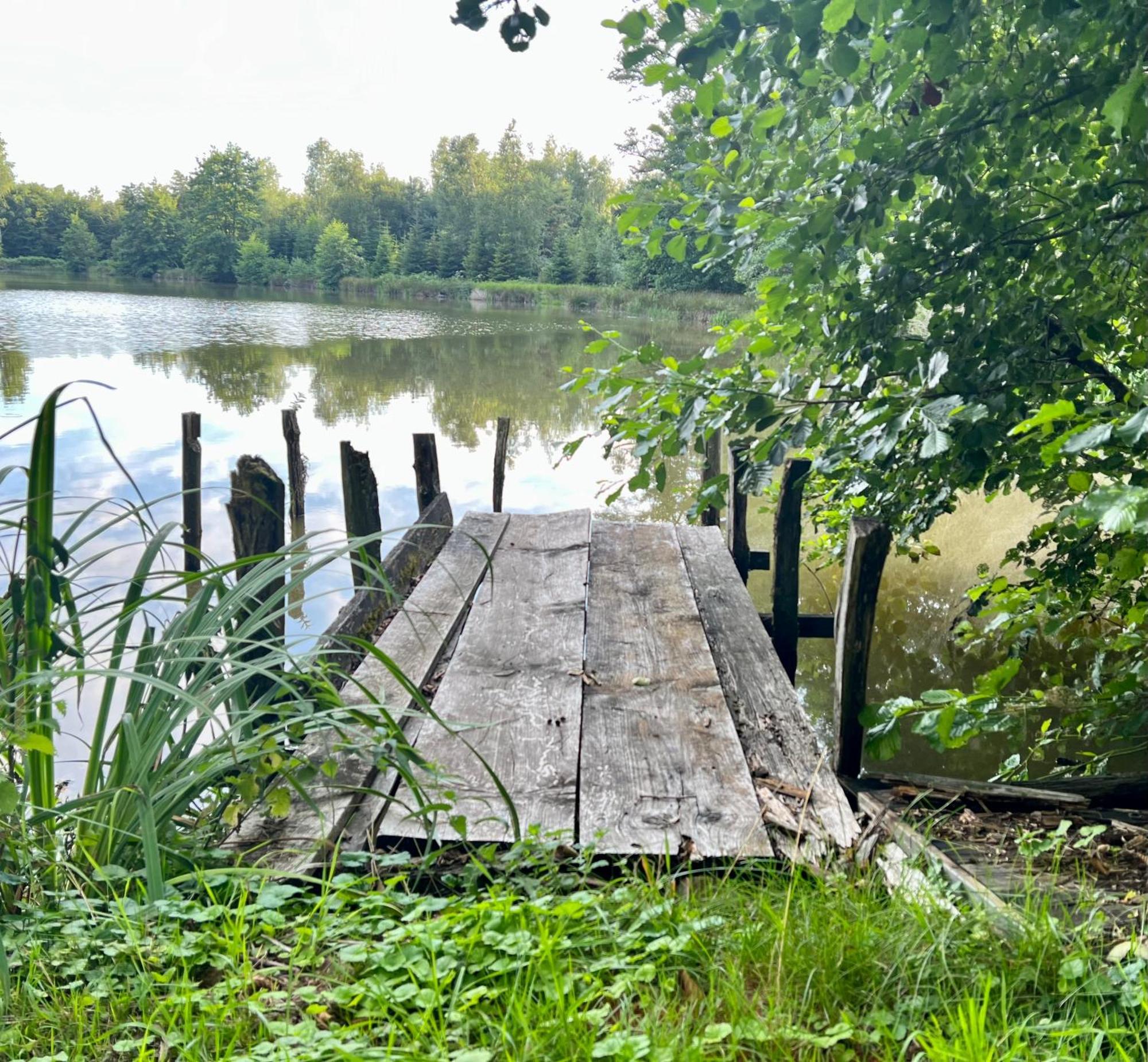 Ferienwohnung Aux Songes D'Elise Belmont  Exterior foto